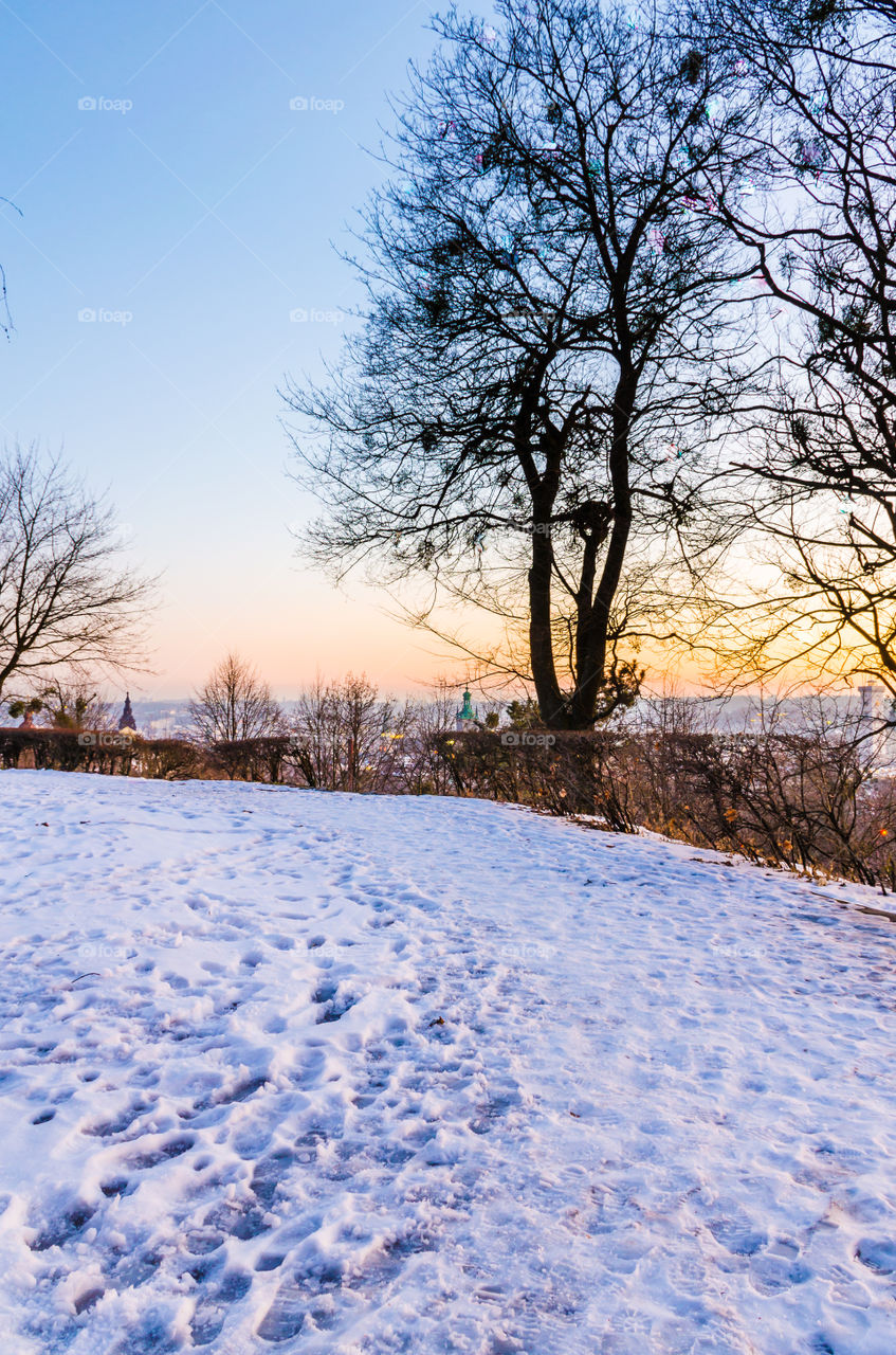 Lviv cityscape during the sunset