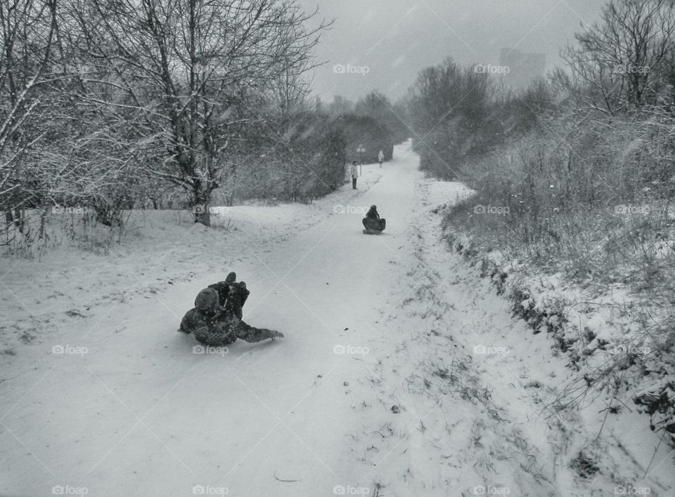 Sledding