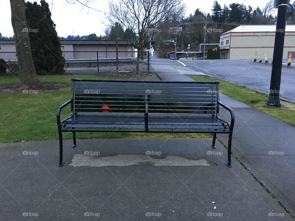Bench for Friends, Cloudy Seattle Days