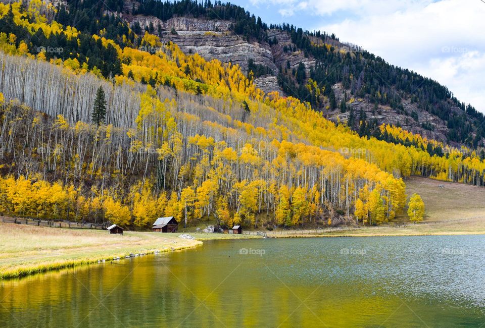 A modest cabin sits at the edge of a small lake as Aspen trees glow with the celebrated colors of fall