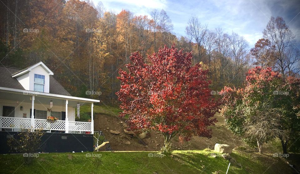 Autumn in the Mountains 