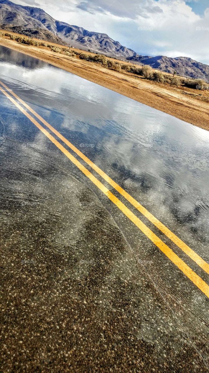Road Reflections