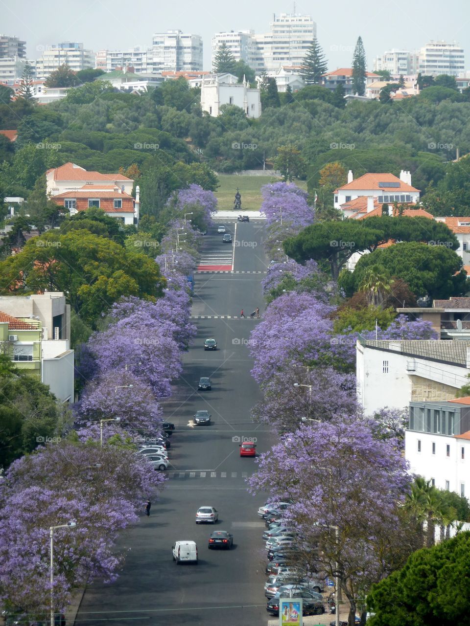 Streets of Lisbon 