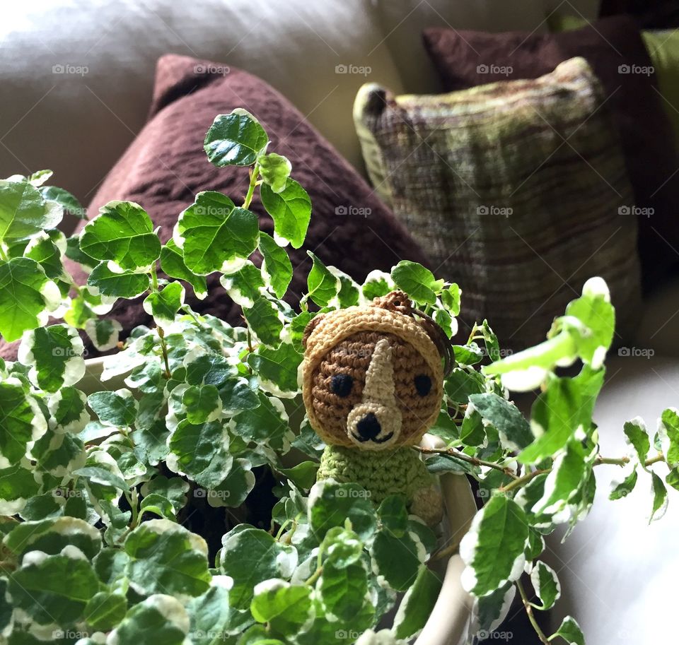 a little bear in the pot