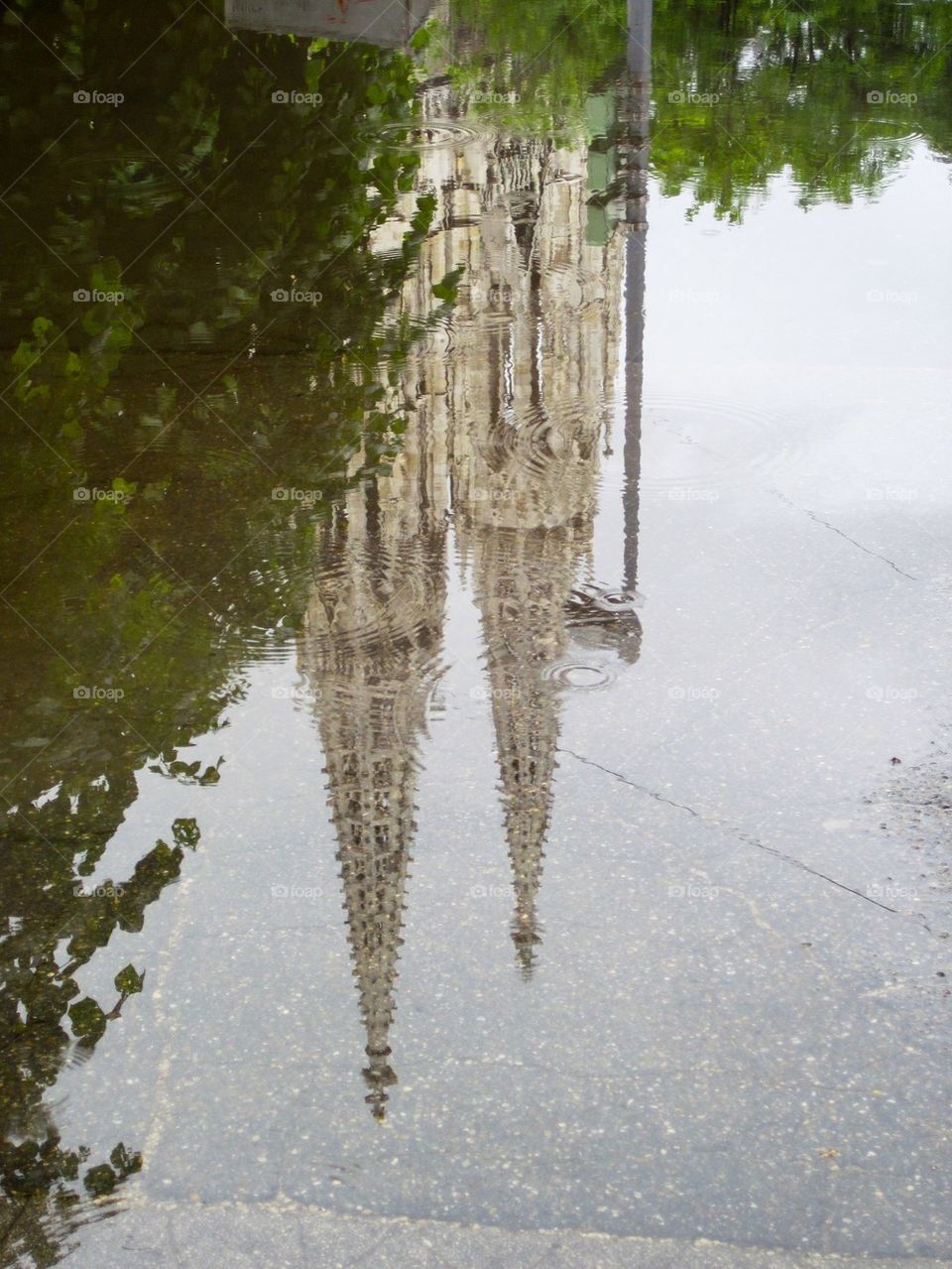 Votivkirche in puddle