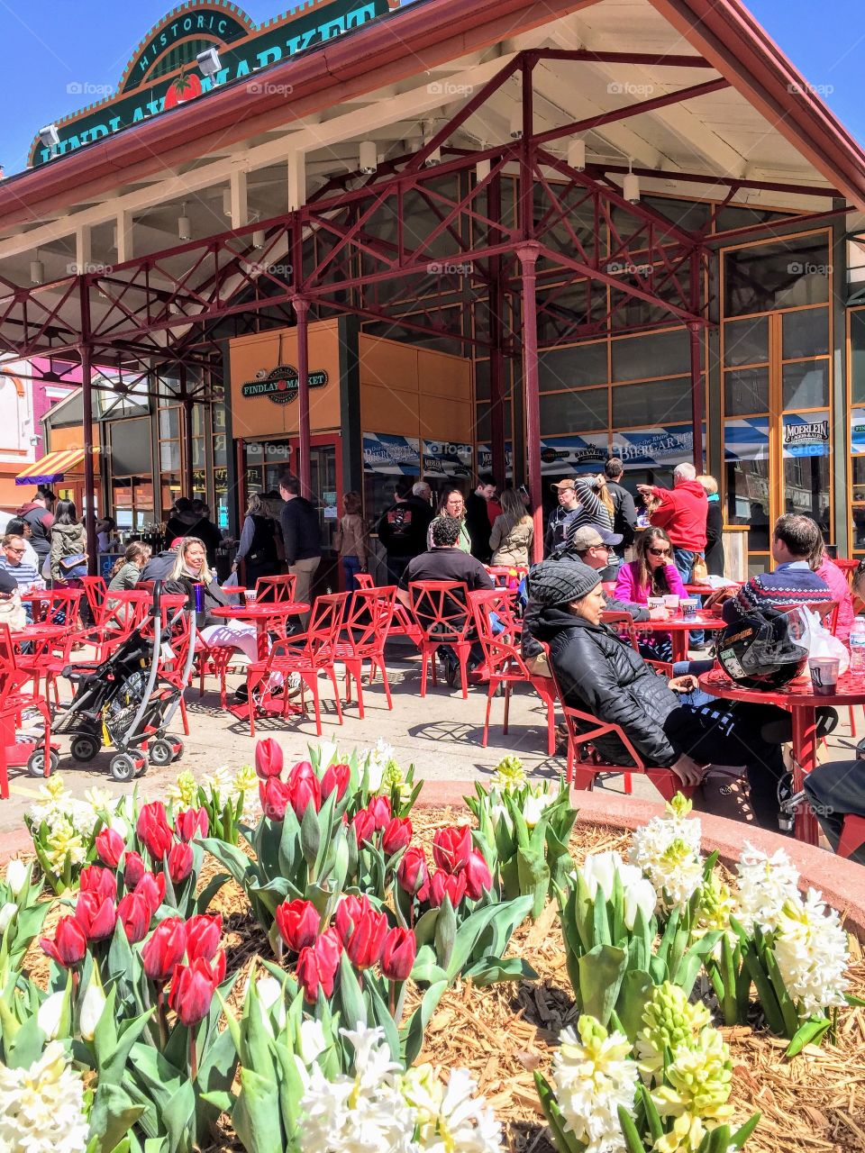 Cincinnati market 