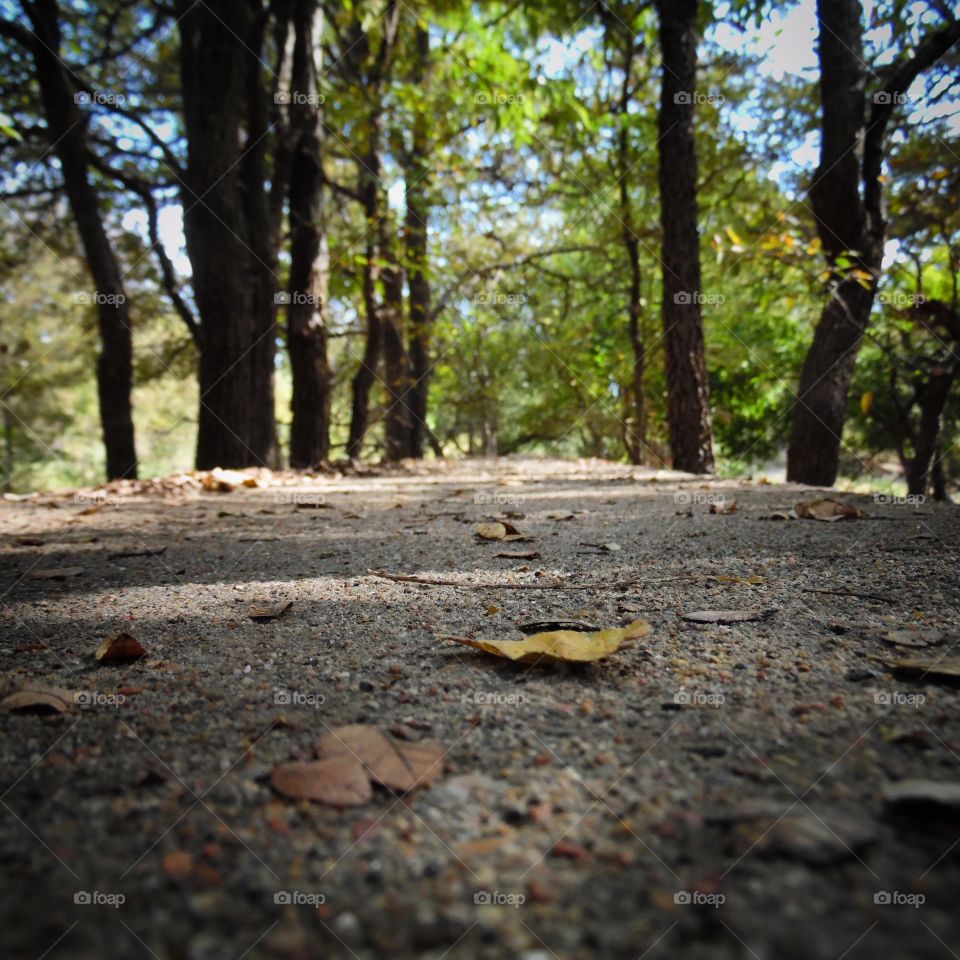 birds eye view 2. This is a duplicate picture of the old Bridge on the Brazos river
