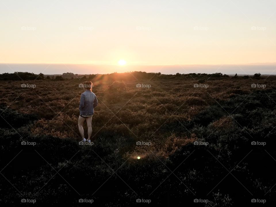 sunset in the new forest