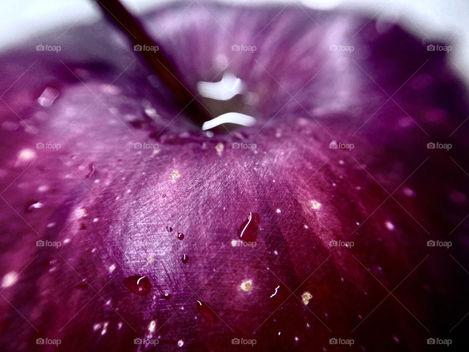 purple apple in macro 