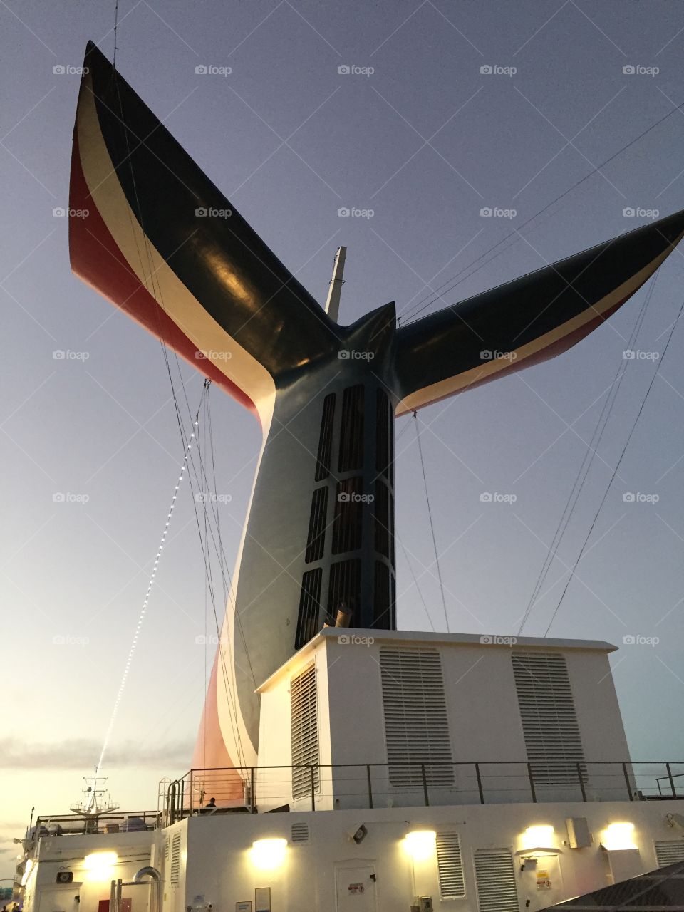 Cruise ship whale tail