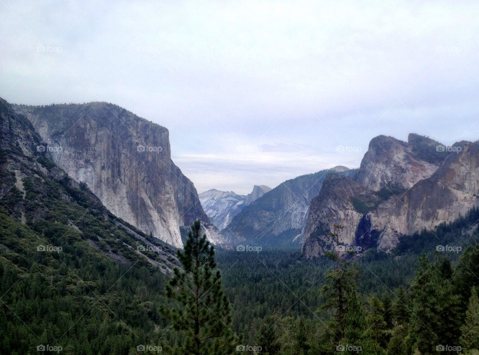 nature mountain tree park by asbreynolds
