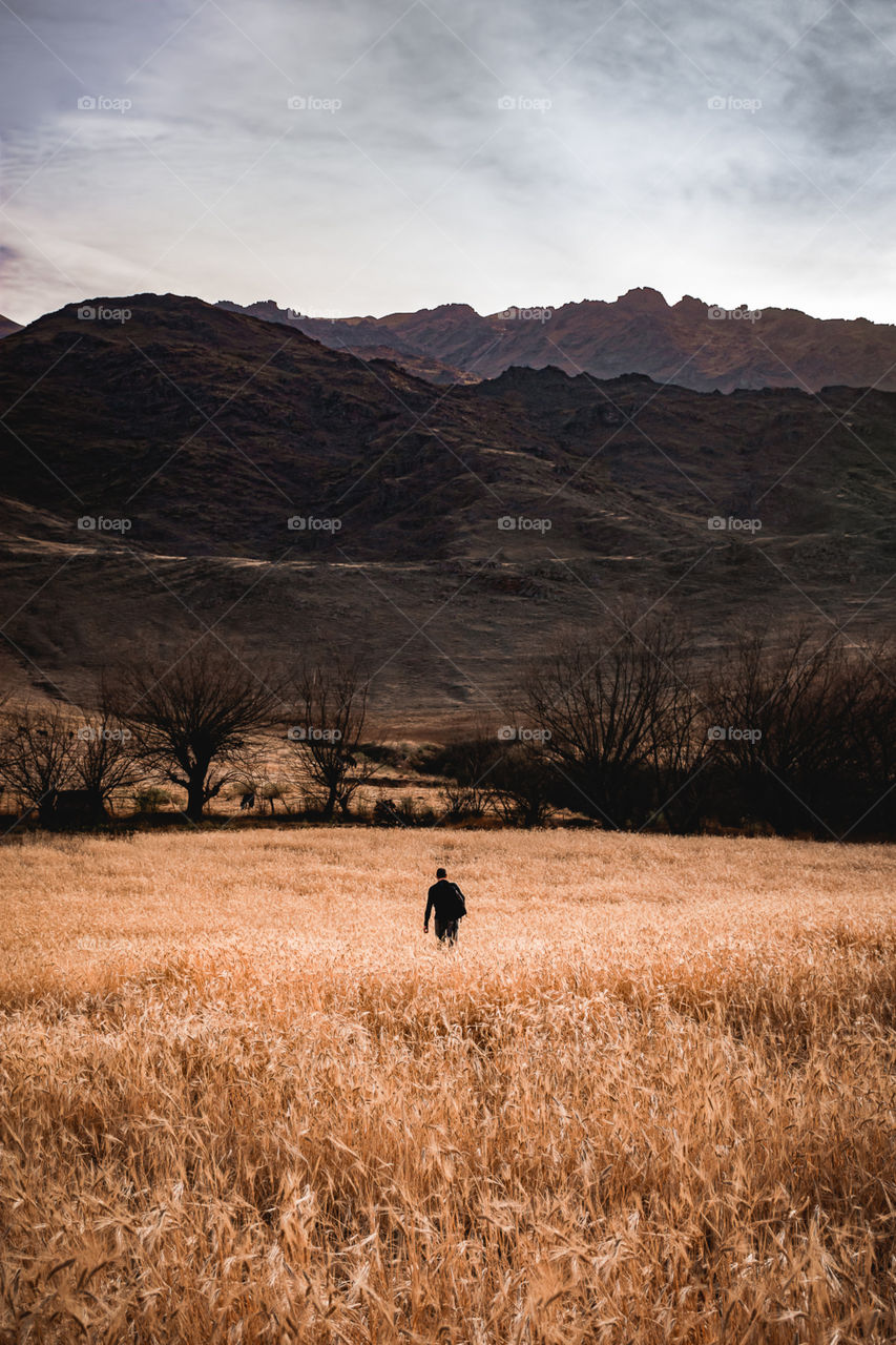 Libertad...

Tafí del Valle - Tucumán - Argentina.