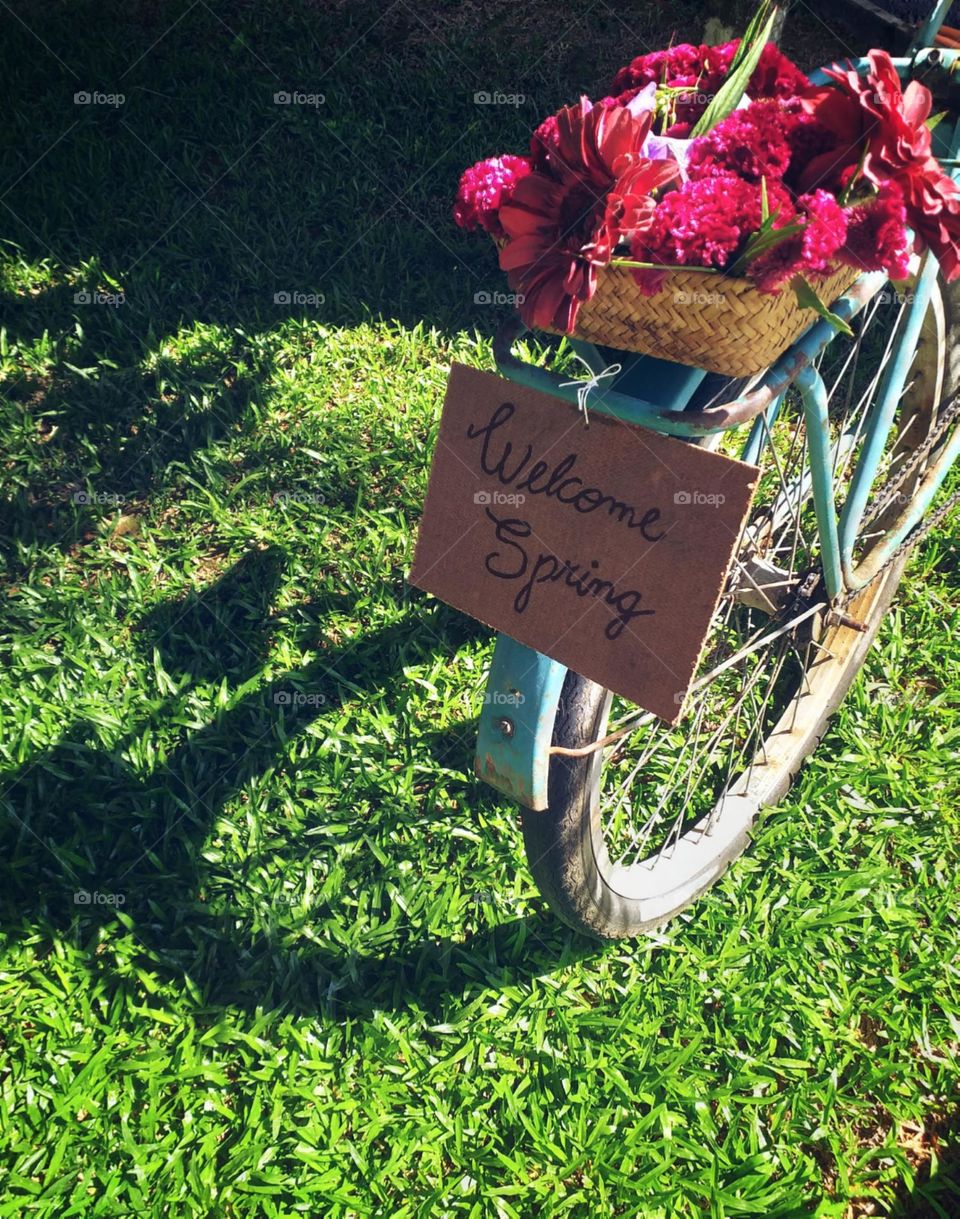 Um passeio para o inicio da primavera