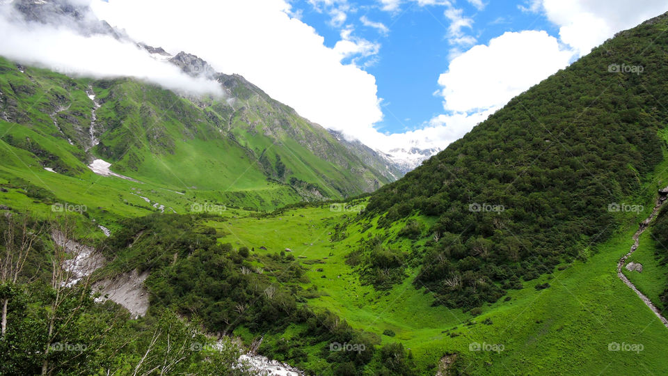 Valley of Flowers