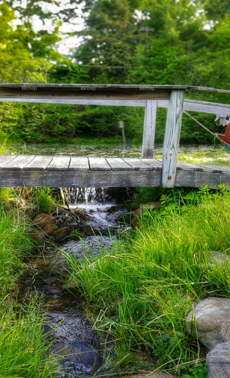 A Man Fishing by the Bridge!