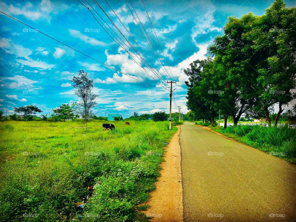 Nature photography - Village side