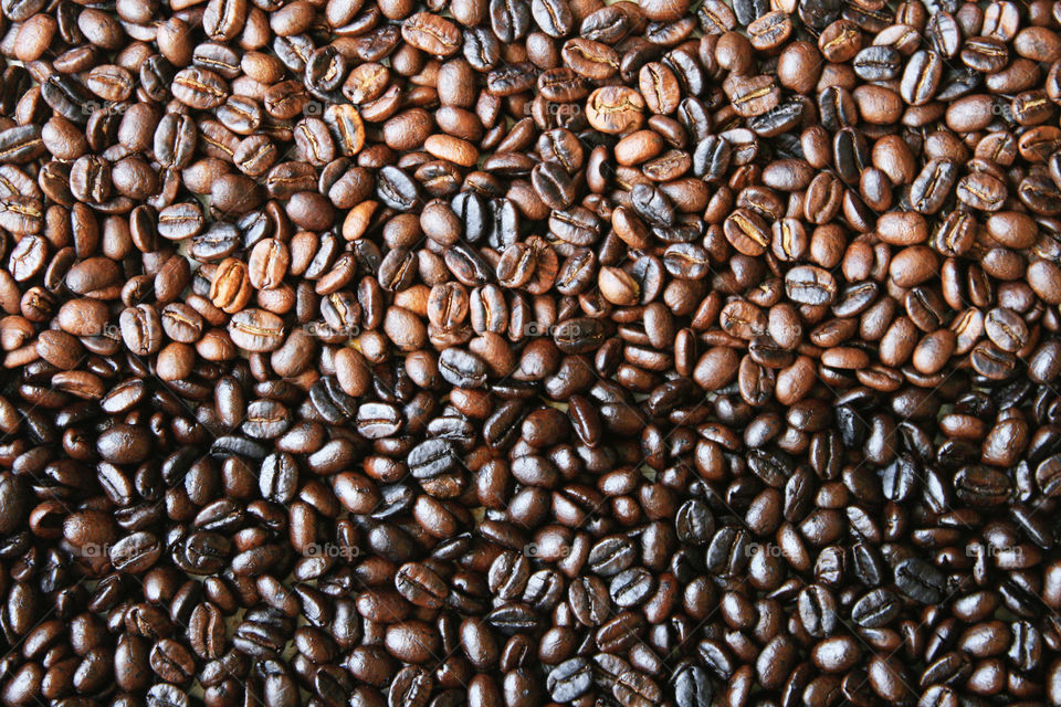 Roasted coffee beans 