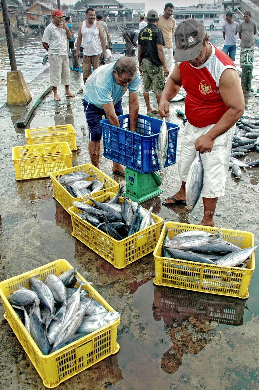 fish market