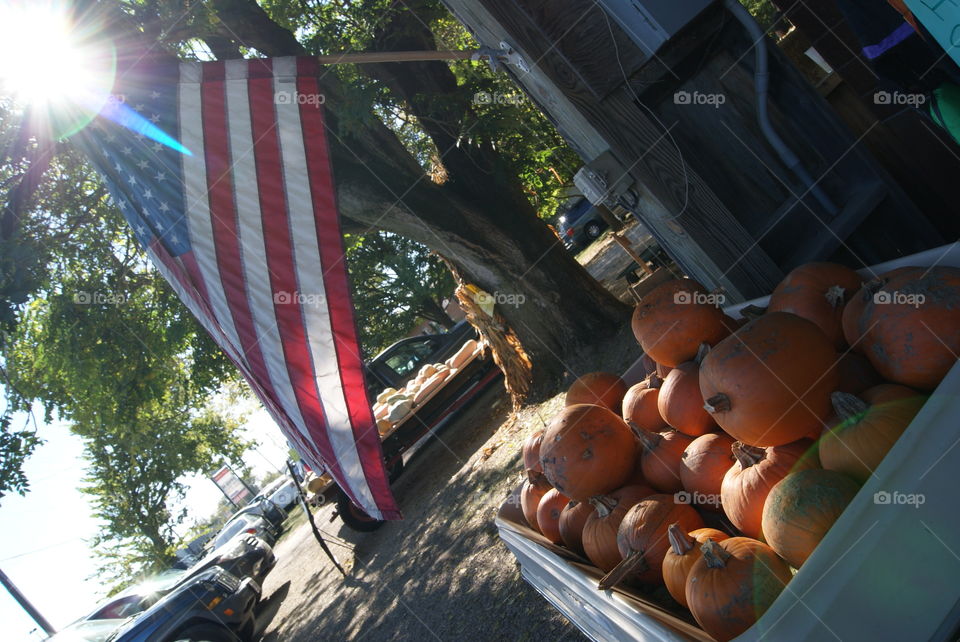 Autumn in America. Burwinkel Farms in Ohio