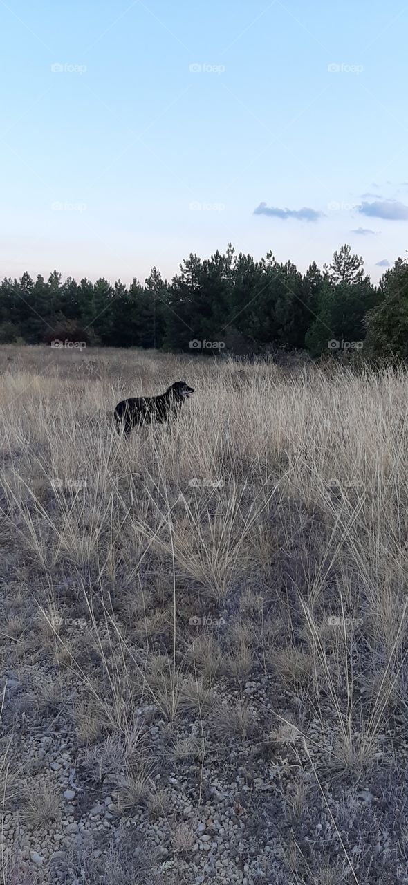 looking for something