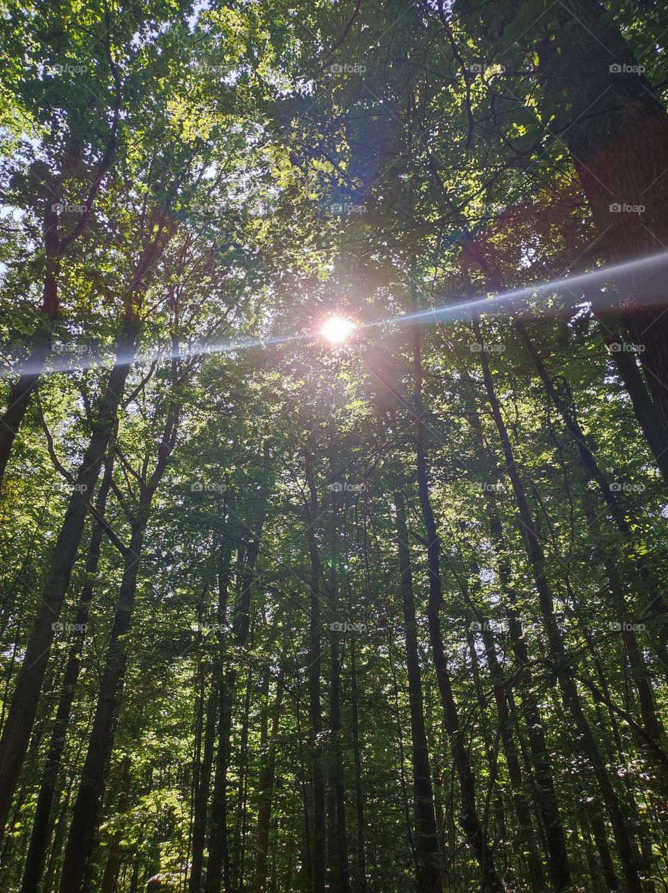 Nature, calm, beautiful