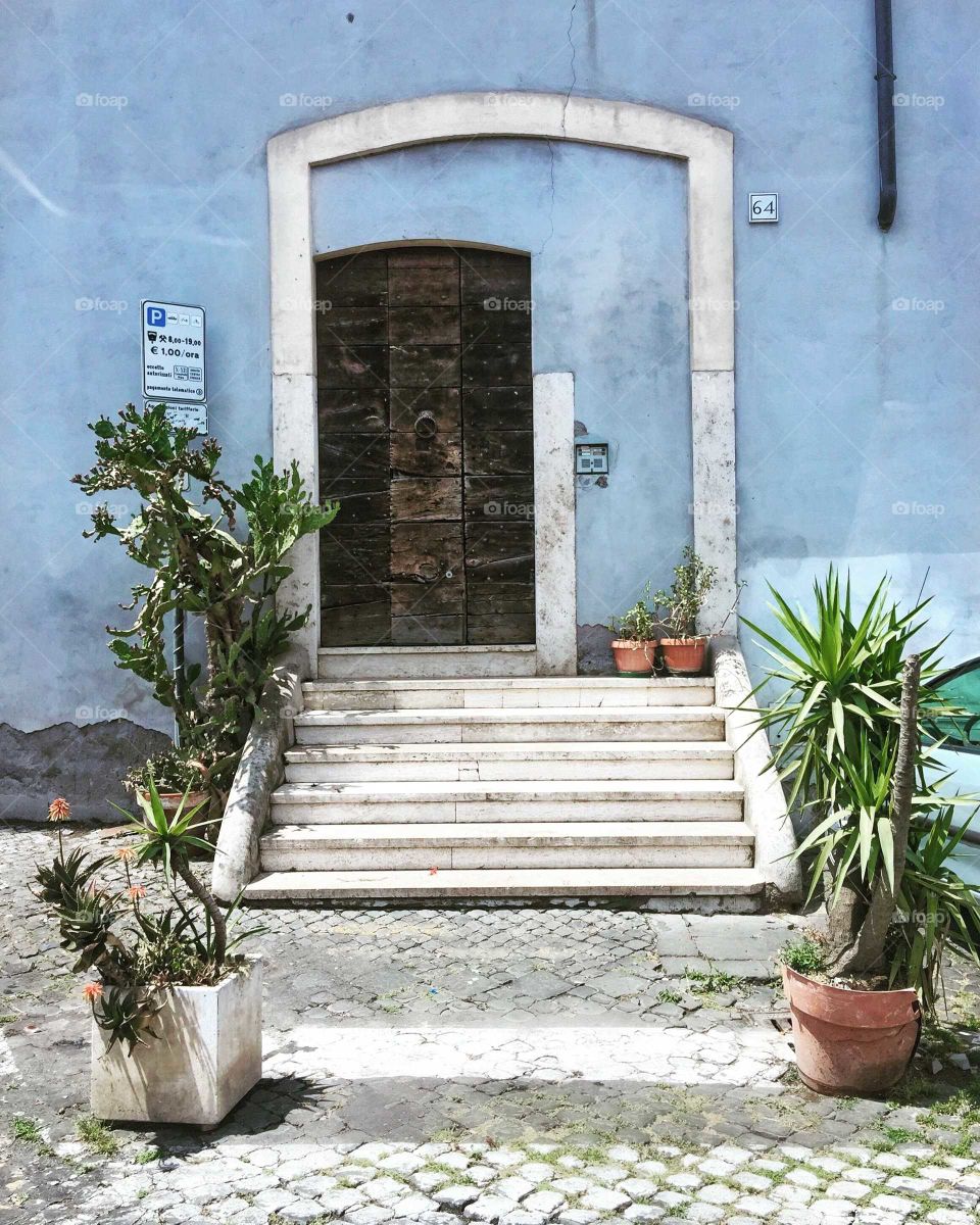 Italian door