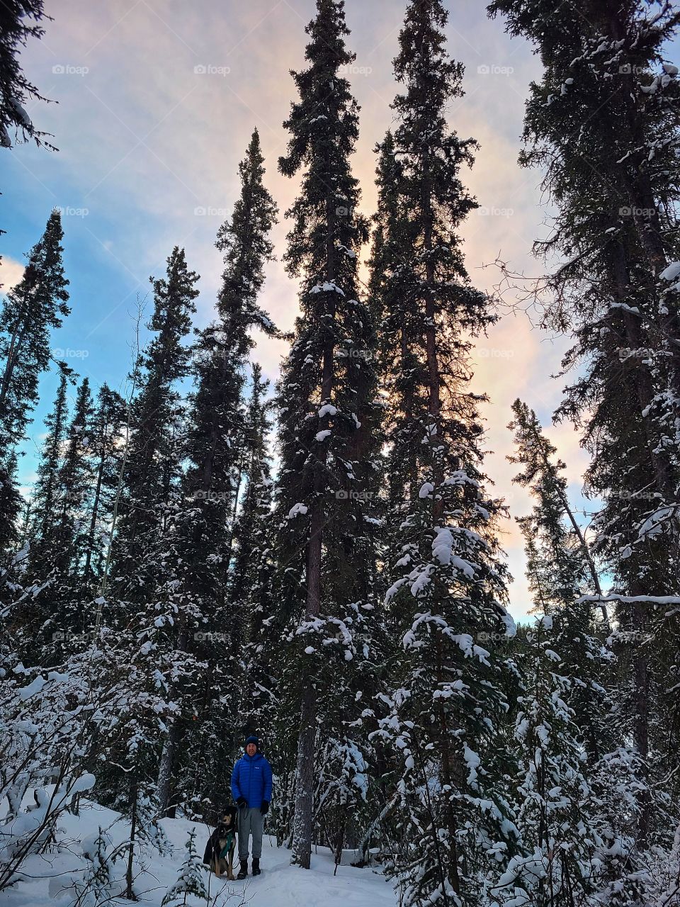 Tall snow covered trees tower over us while hiking