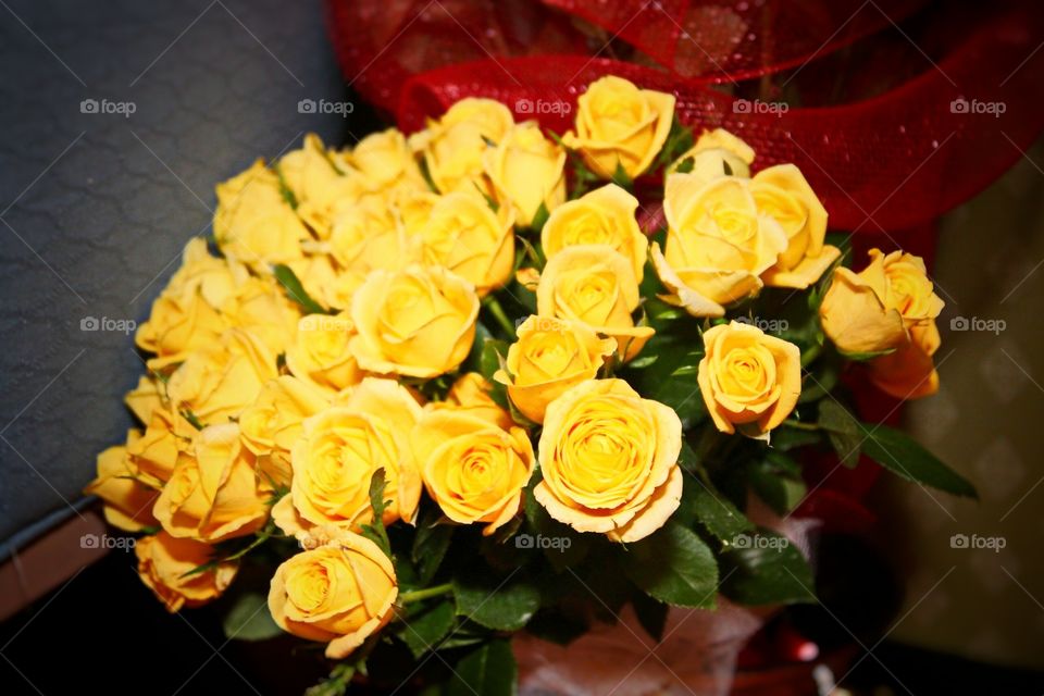Yellow roses. Yellow roses