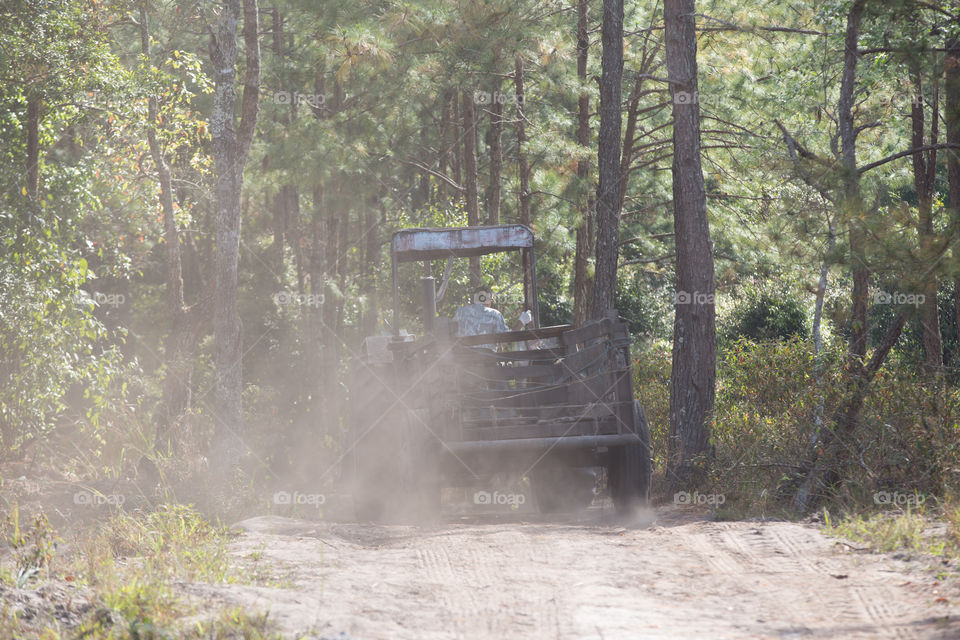 Truck in the forest 