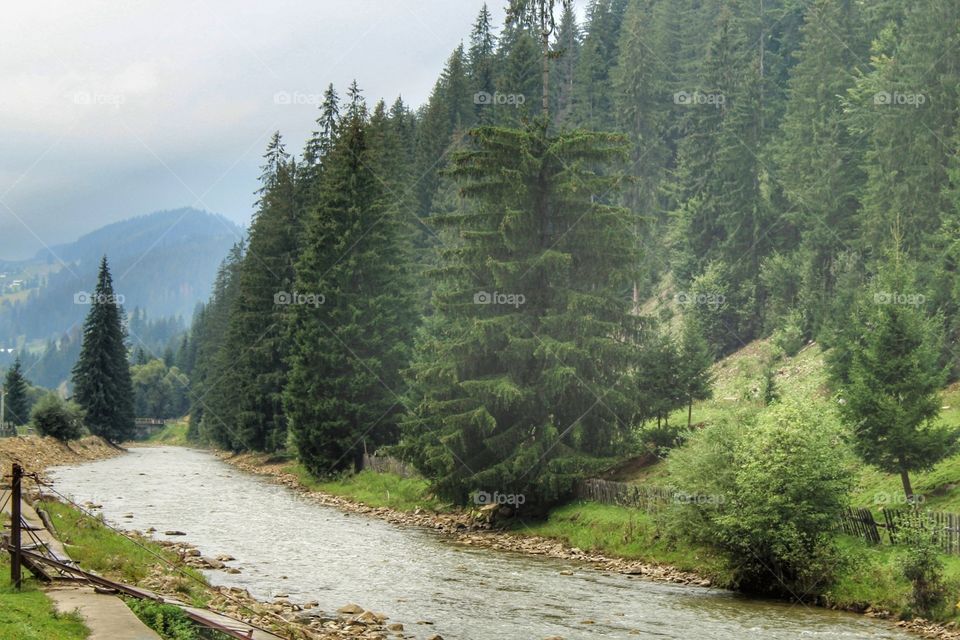 River in Bucovina, Suceava County, Romania