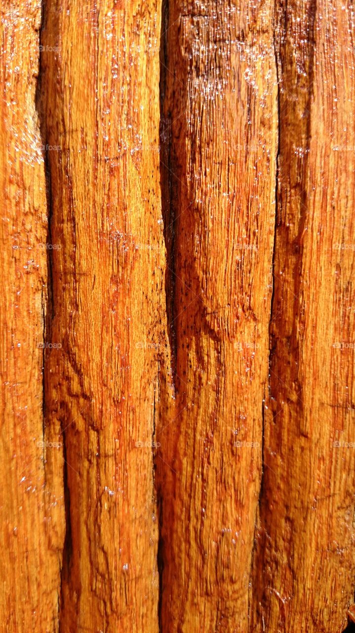 Wood,  background 