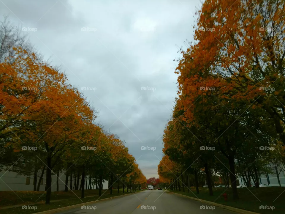 row color