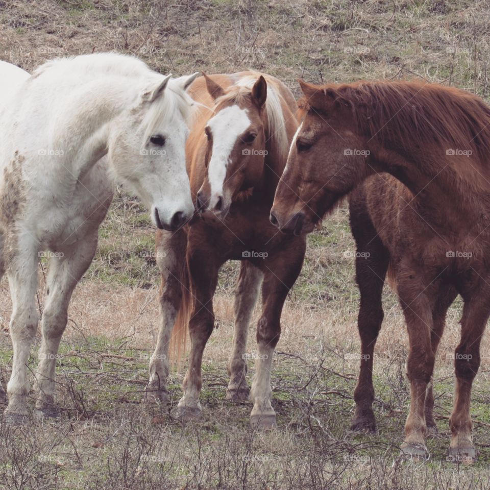 Best friends stand together