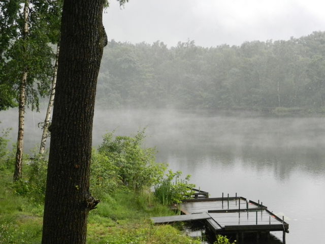 Foggy landscape