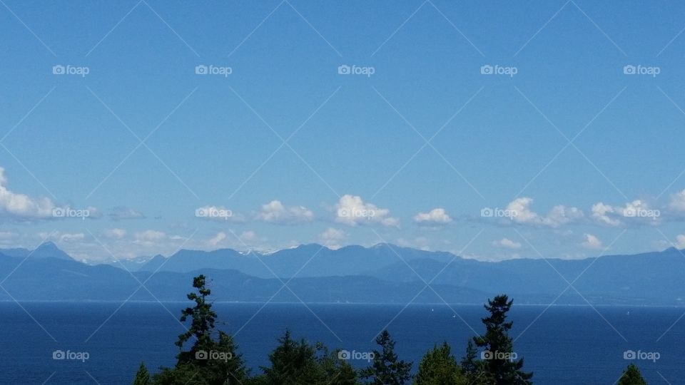View over tree tops overlooking pacific ocean and mainland mountains with blue sky and clouds