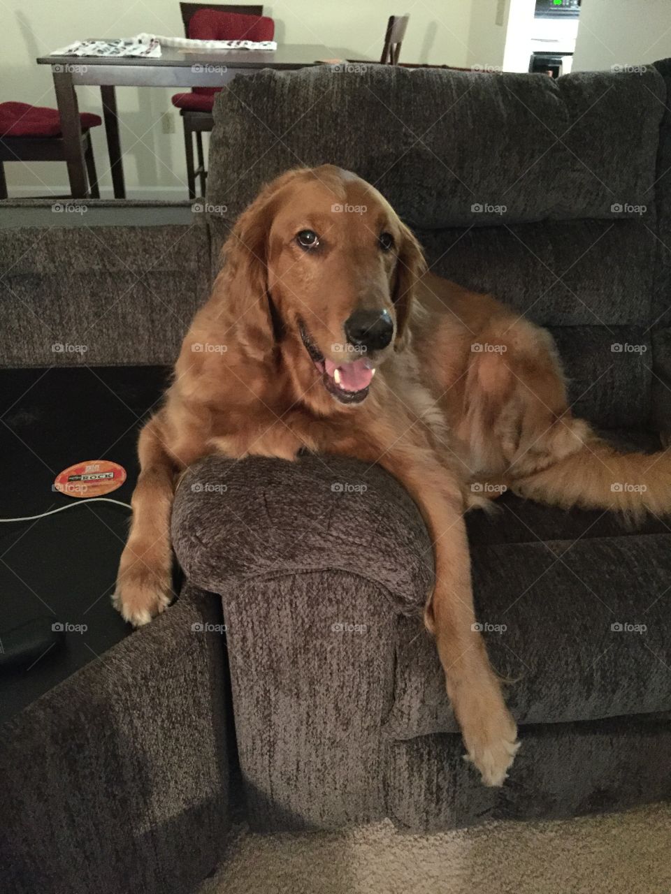 "I don't always sit on the couch, but when I do, I sit with style."