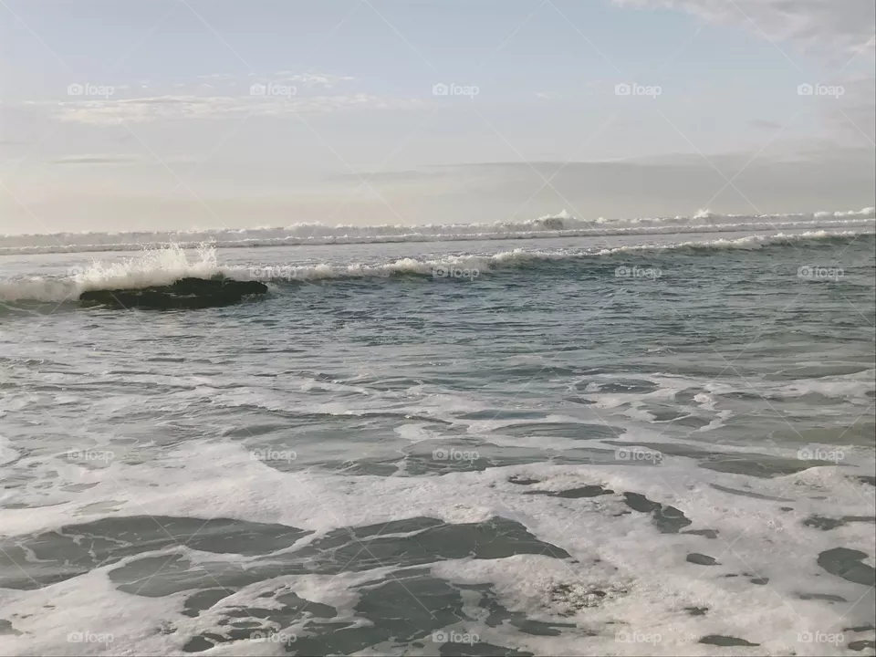 SD