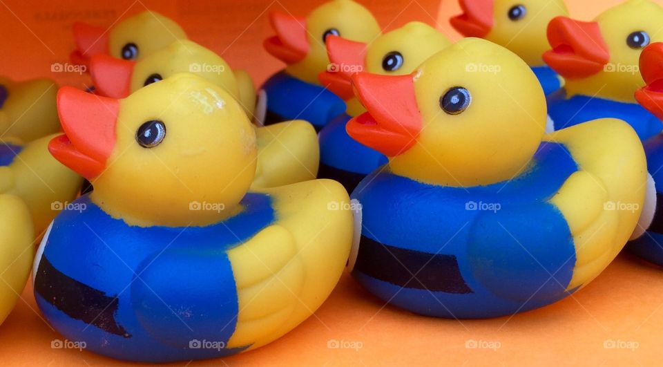 Rubber Ducks 