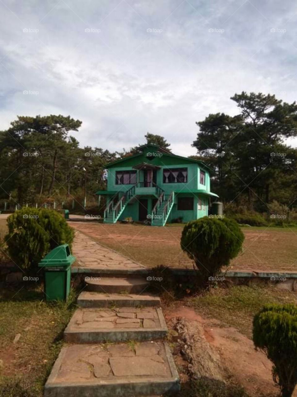 In the compound with green colour house and trees
