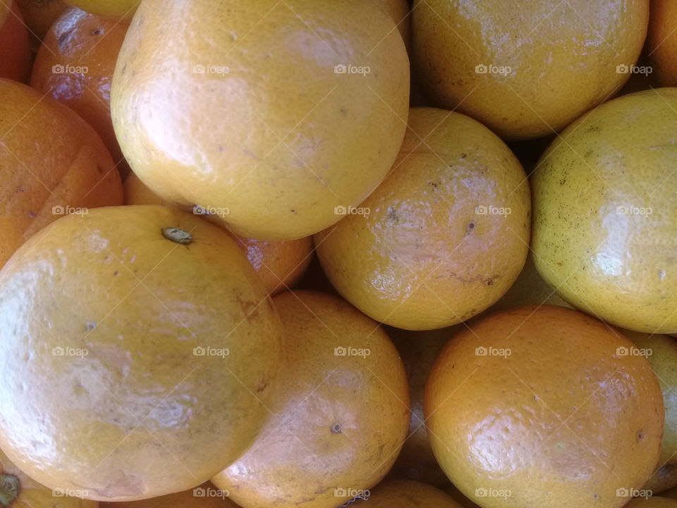 naranjas recién cosechadas