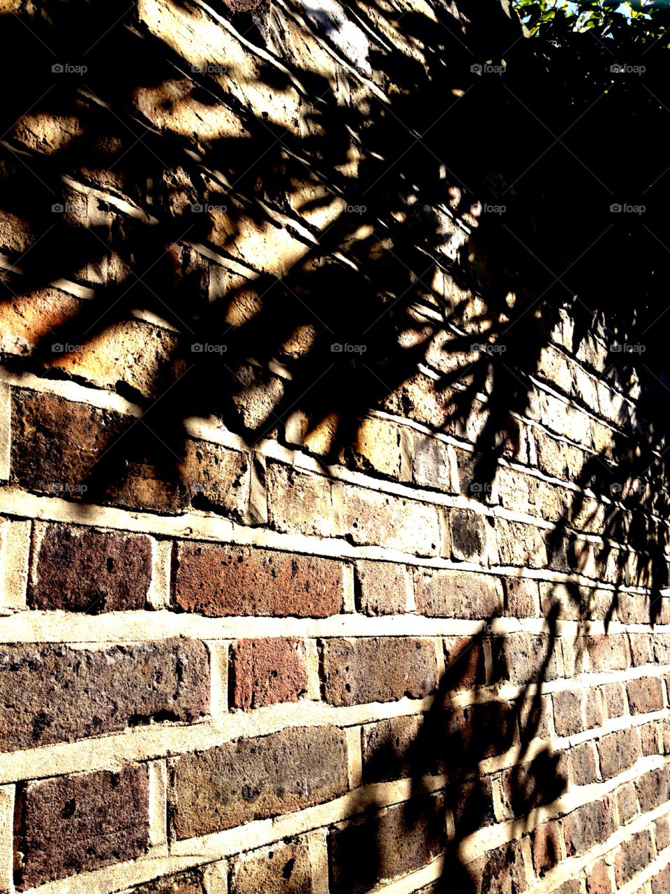 autumn brick wall tree reflections by kikicheeky