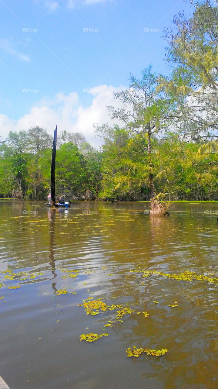 Fishing on Lousiana bayou.