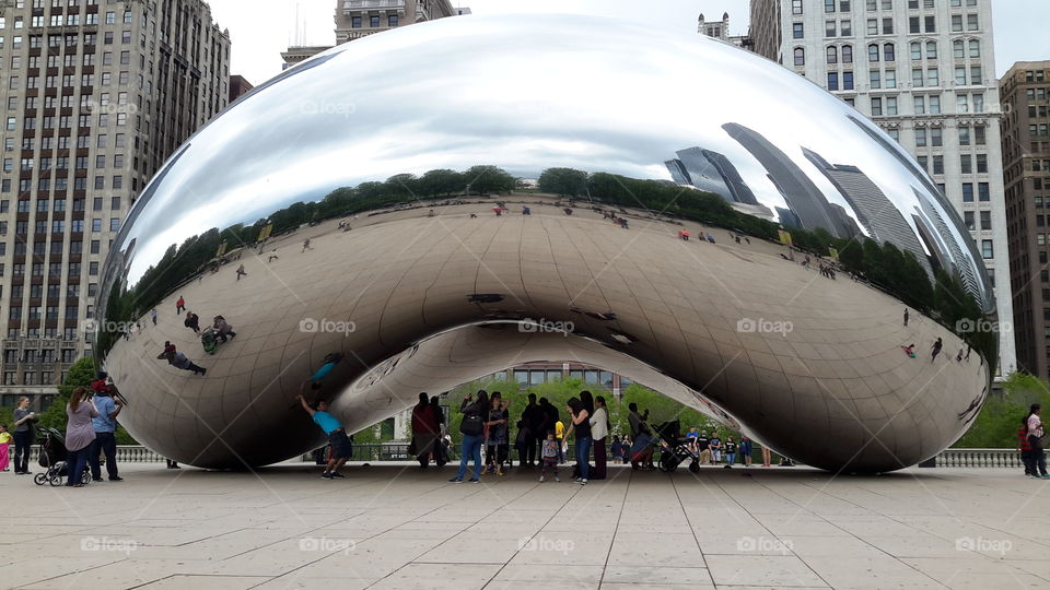 the bean. the bean