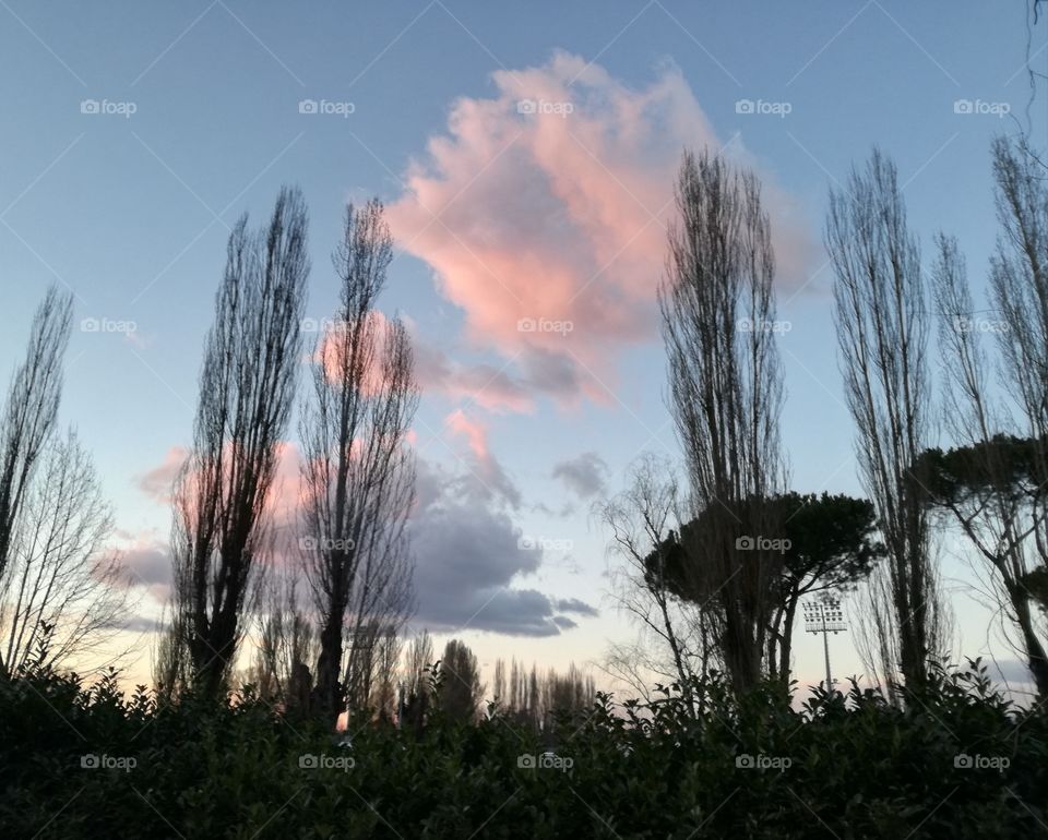 Sunset in a wind day. The colours of nature