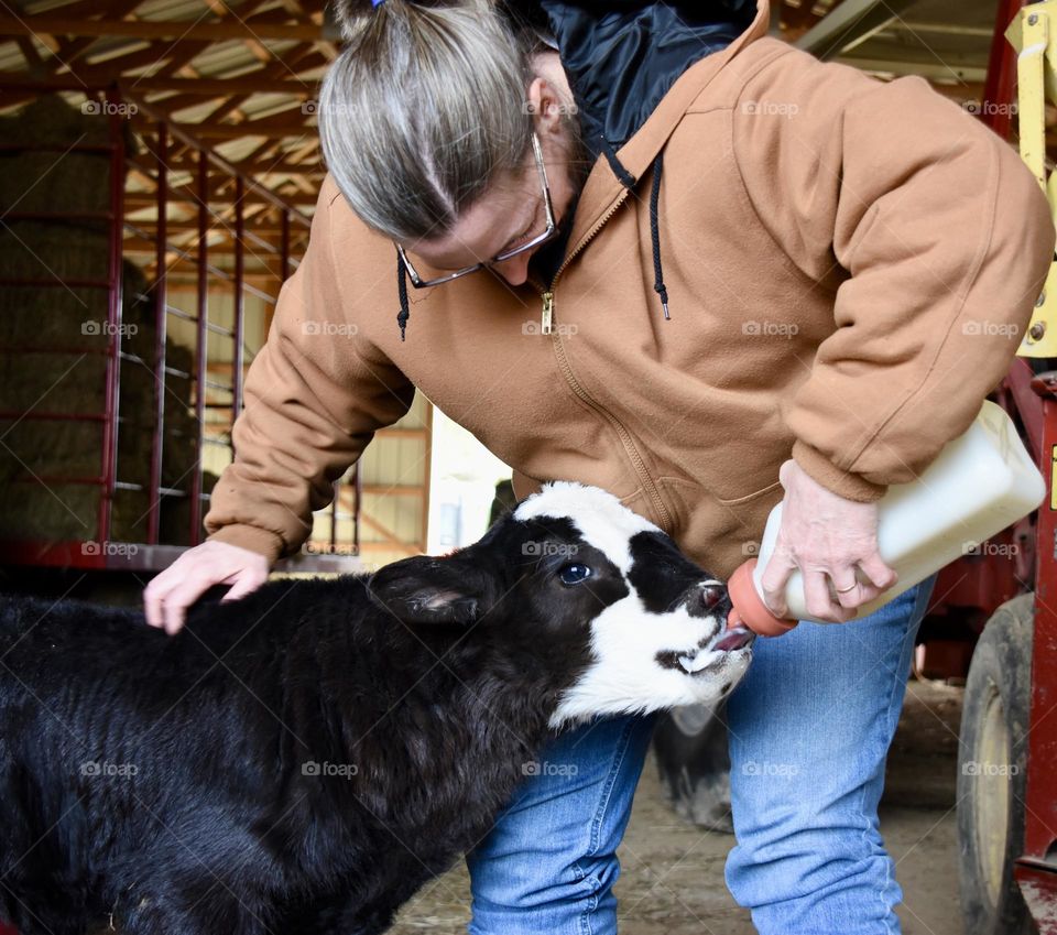 Woman feeding a bottle calf