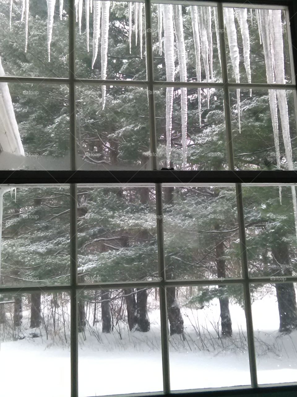 Winter's window