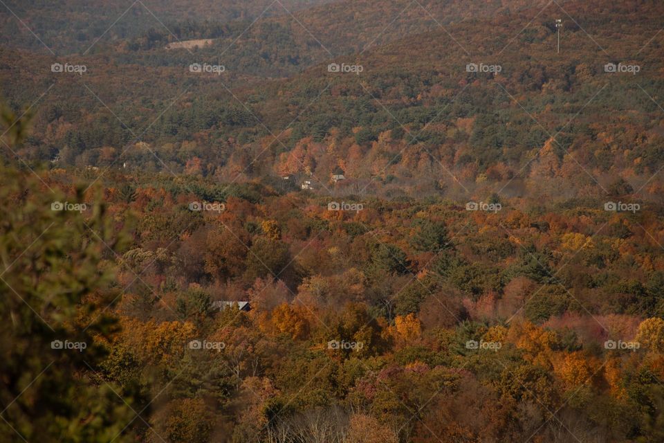 Autumn’s Valley