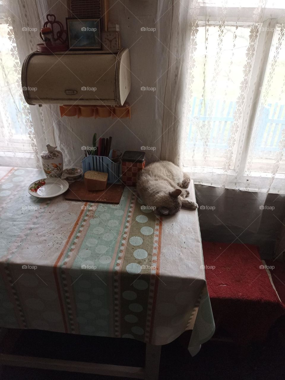 Murzilka is sleeping