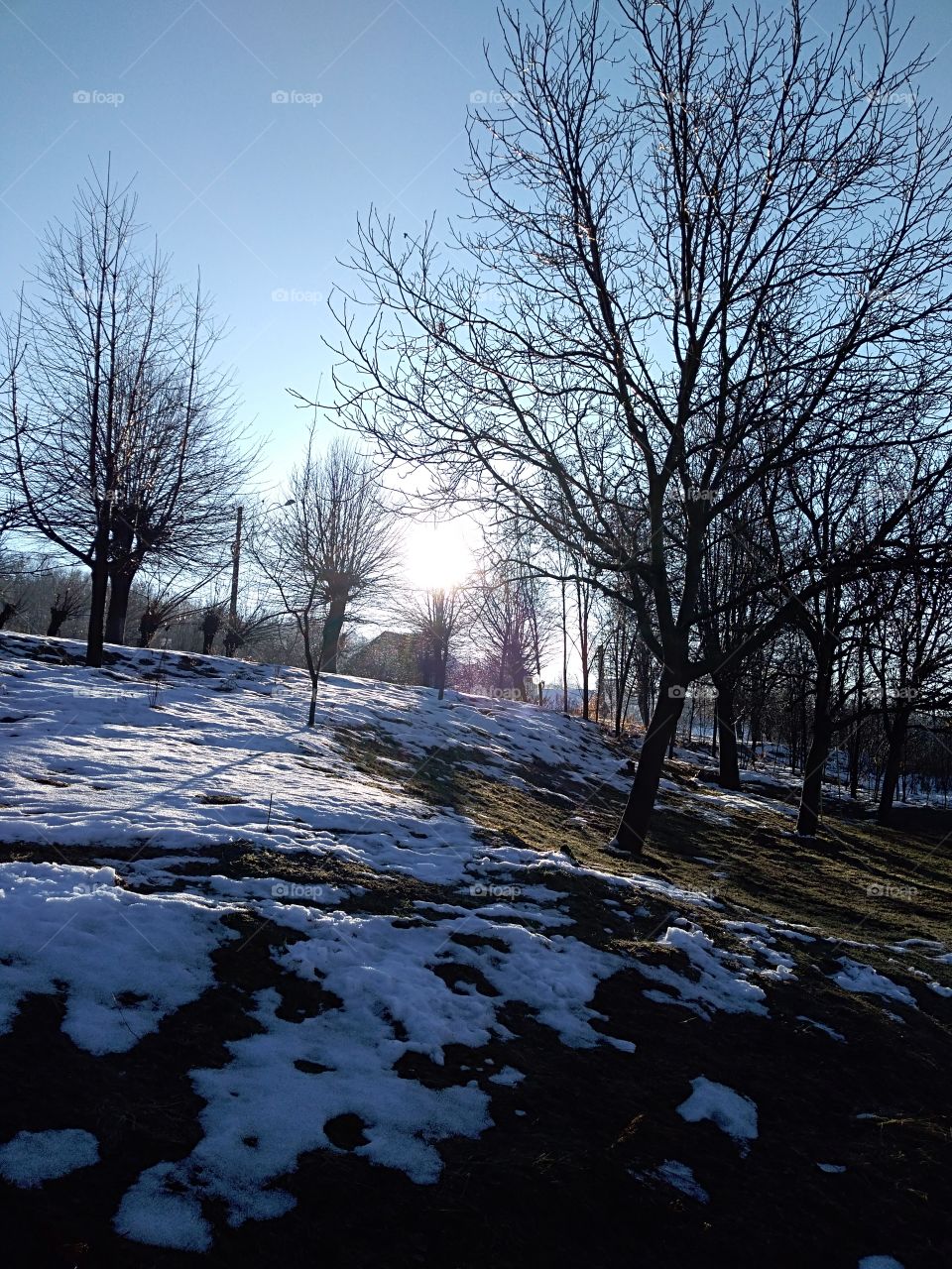 Risen on December morning