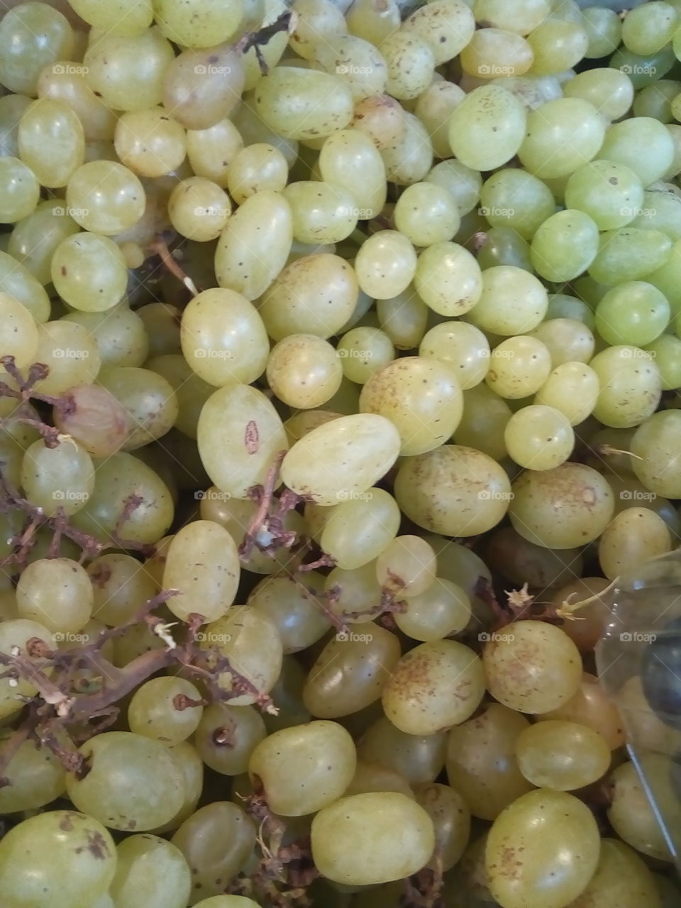 delicious grapes
